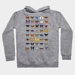 Butterflies Hoodie